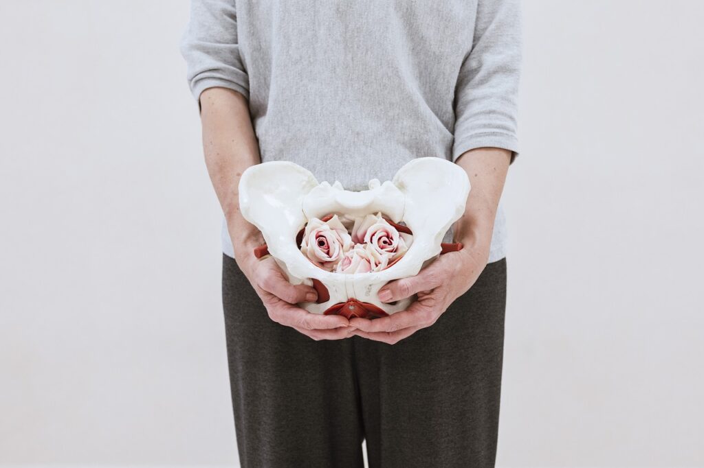 pelvic bone, pelvic floor, yoga